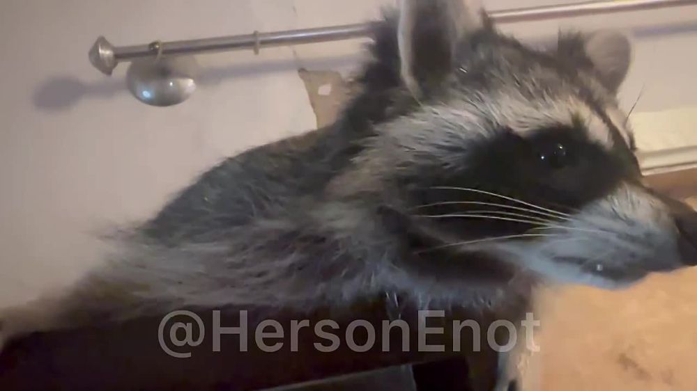 ���� �� �������: ����������� ������ ��������, �������� ������ �� ������ ��� ������, � ��� ���� ��������