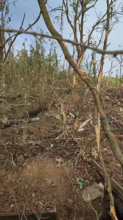 ������������ ������������ ��� �� ����������� �����������