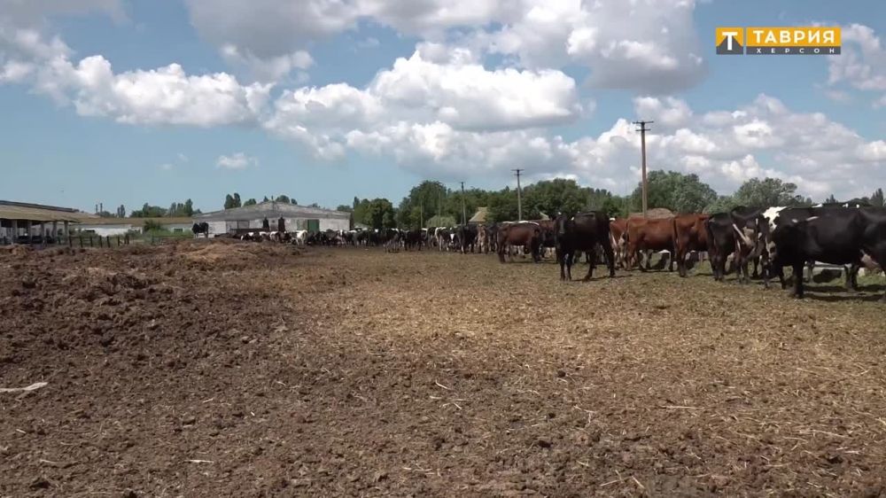 � ���������� ������� ���������� ����������� ������� ��������������