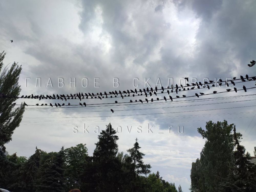 ������� ��������������� � ��������� ������������ �� ������ �� ������ ��������������, �� � ������ ������������ ������ ����� ��� ��������