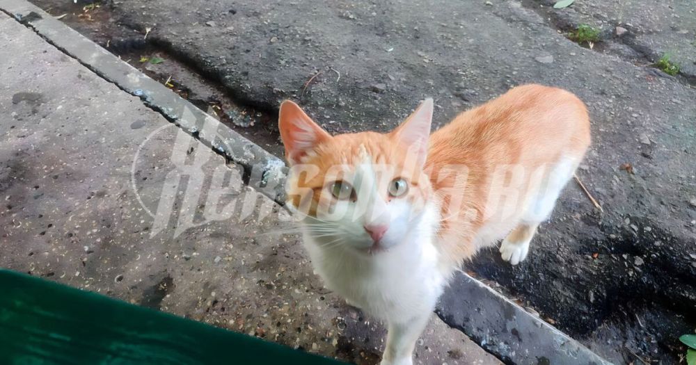 ����� � ����� ������� �� ��������� � ���������