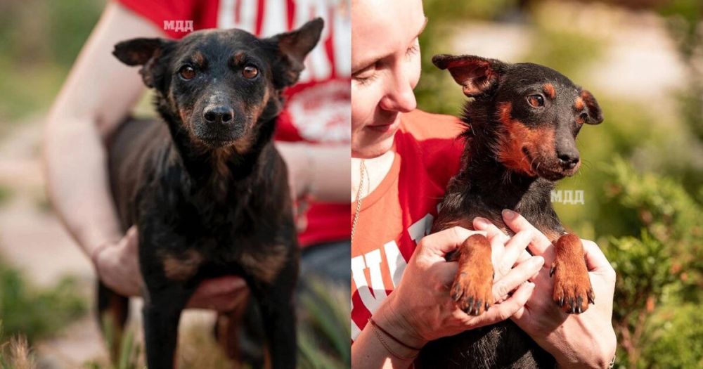 ������� ���� � ������� ����� �������� ����� ����������