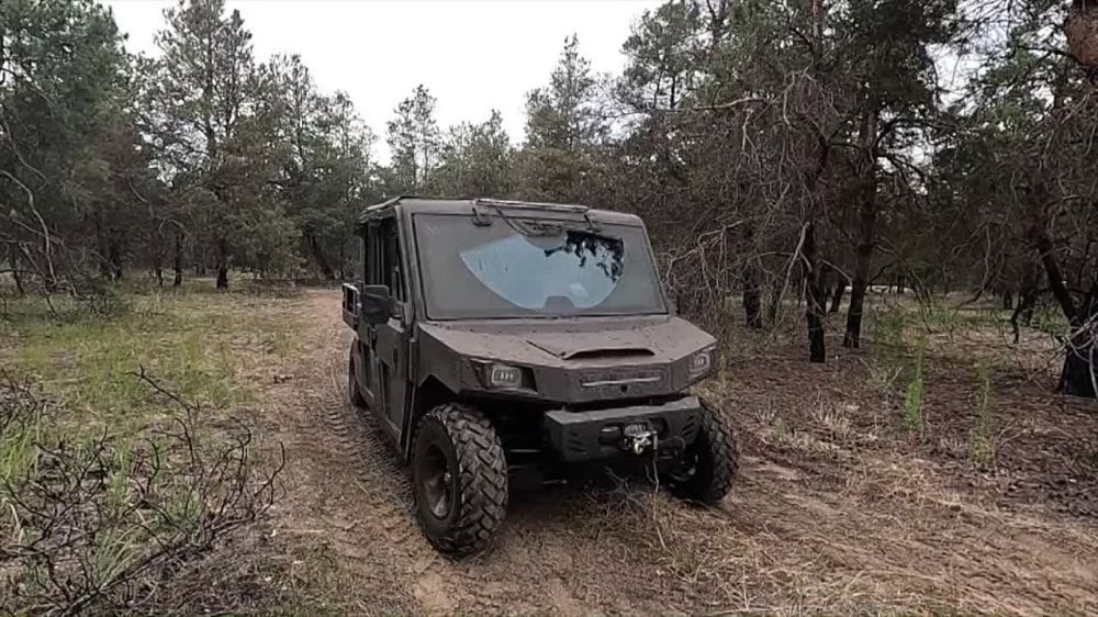 ���������� ����������� ���. �� ������ ����� ������ ����������, �� ��� ��������