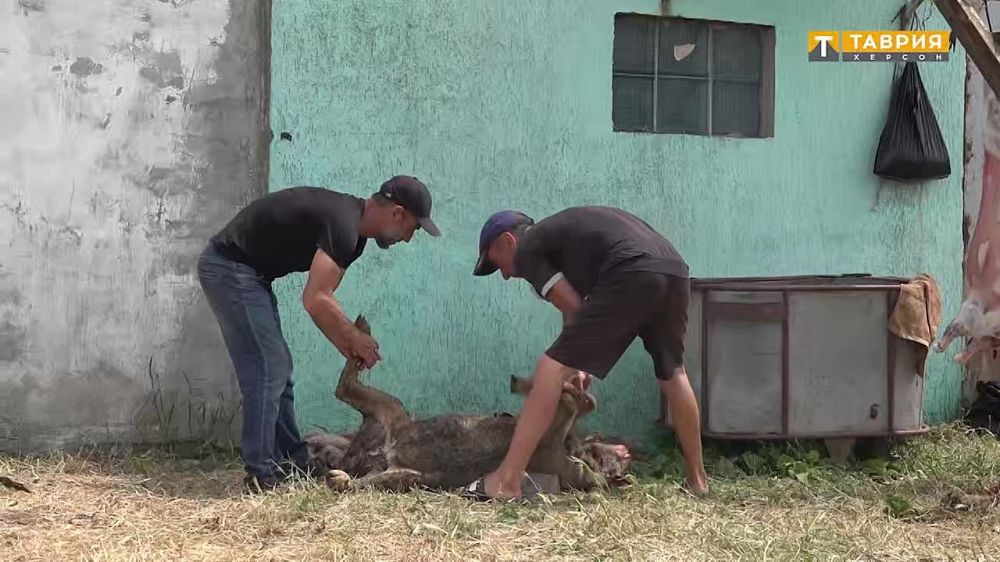 � ���������� ������� �� ������ ���������� ��������� ������-������ ���������� �������� ���� ����������