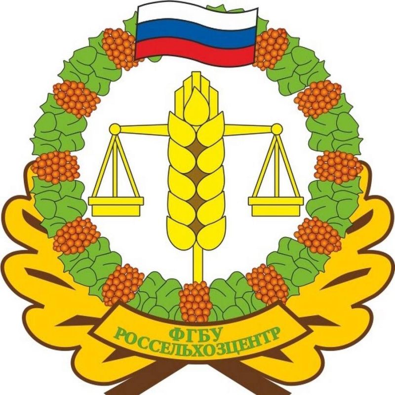 ���������� �����: ������-�������� �������� �� �������� �������� �����������