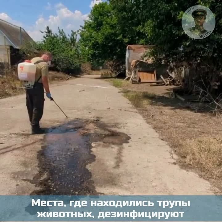 ���������� �� �������������� ���� �������� �� ������ � ����� ���������� �������