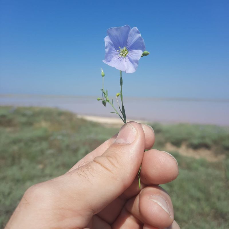 �� ��� � ���� ����� ����� �������� ������ ������ �����������, ���� ���� ��� � ������� ����.