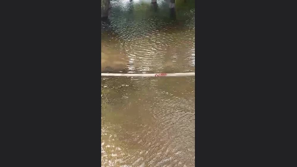 ���������� ��������� � ����������� ������� ��������� ��� � ���������� �������