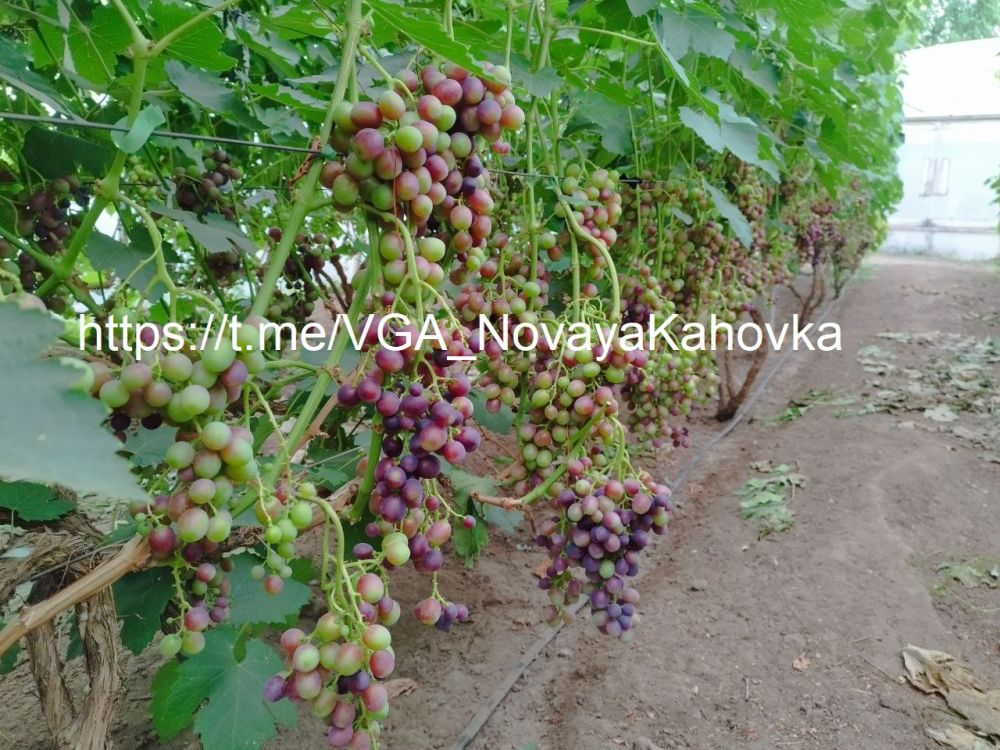 ������� ����� ������� ��������� �������� ������ ������� ��������� � �������