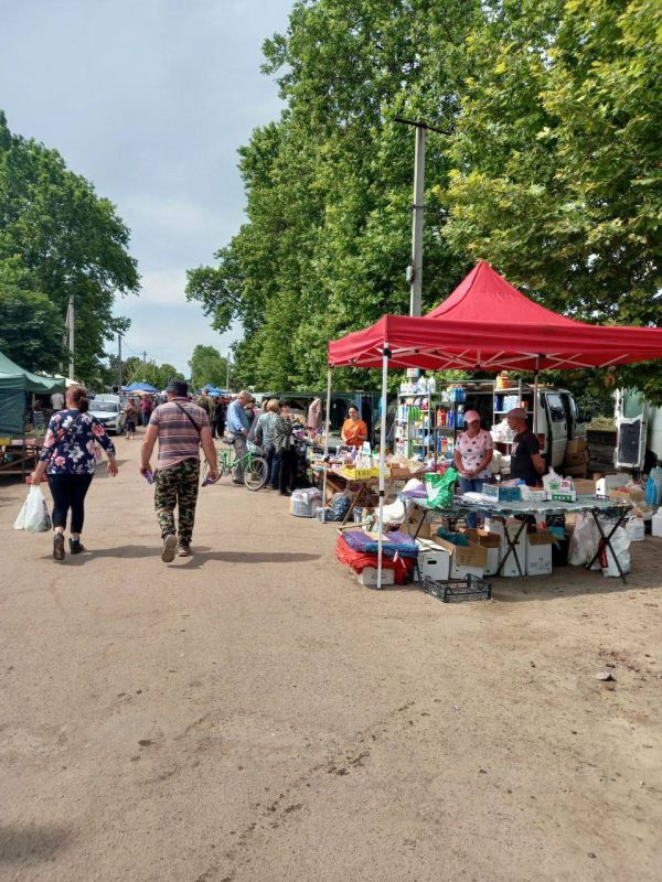 �������������������� ������� ��������� ���� ���������