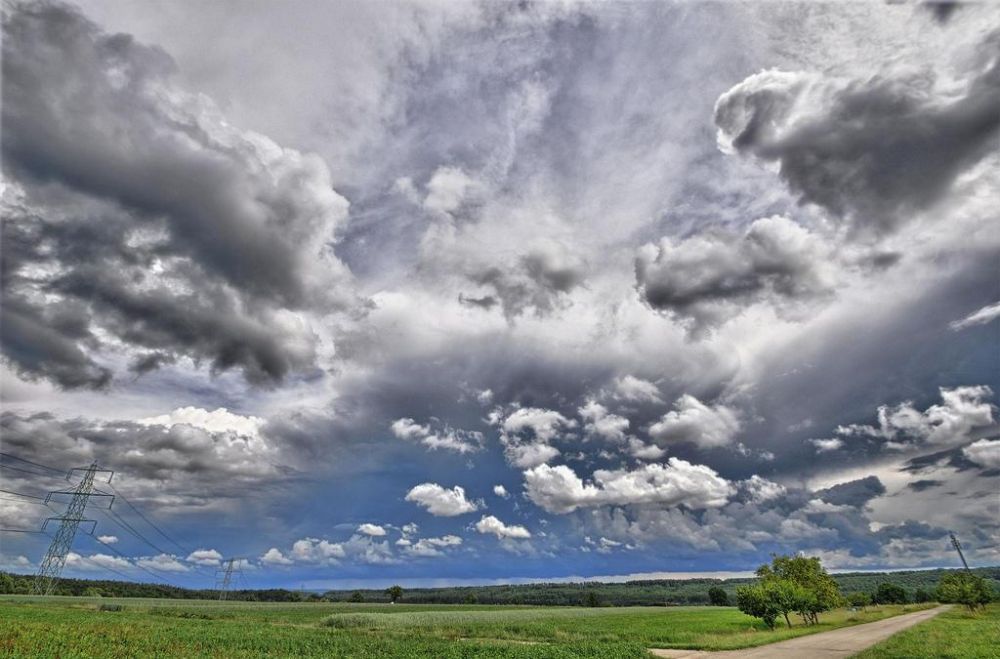 ���������������������� ����������