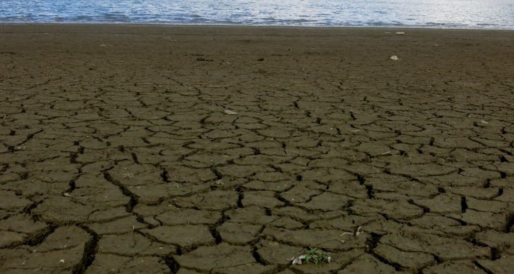 � ����������� ������� ������� ���� � ��������� ������������� ���� �� ����� ������