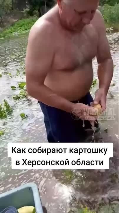 � ���� �������� �������� ��������� ������