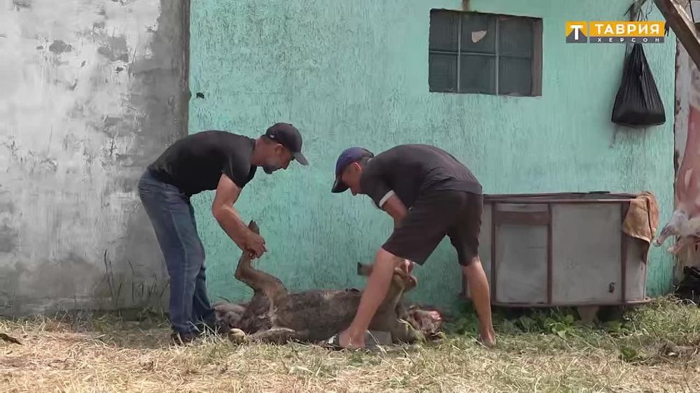 � ���������� ������� �� ������ ���������� ��������� ������-������ ���������� �������� ���� ����������