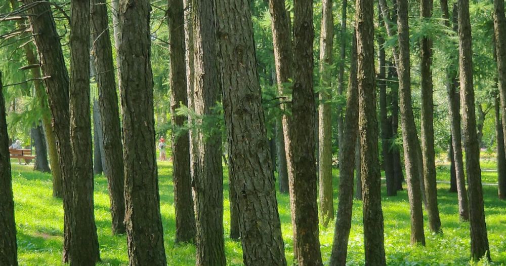 ������������� ������ ������� ���� ���������� ������� �� �������