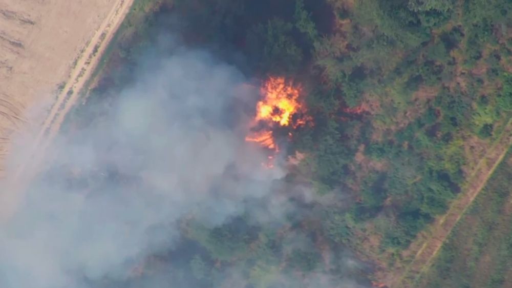 ����� ������ � �������: ����� ����������� ������������ �777 ���������� ��������