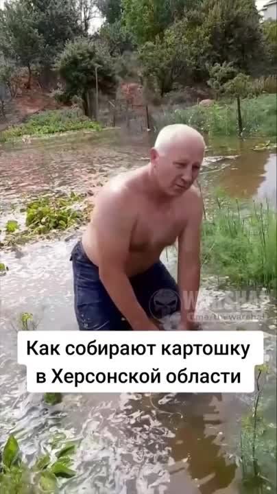 ���� ������ � ���� ���� �������� ���