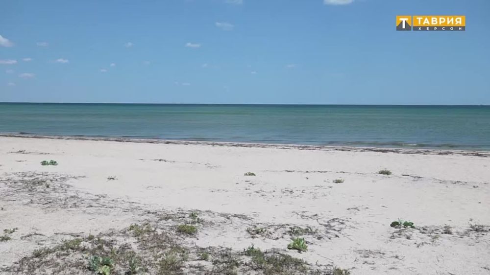 ������ ��������� � ������������� ���������� � ������� �� ������ ����� ����������� � �������� ������� �������� ������ ������