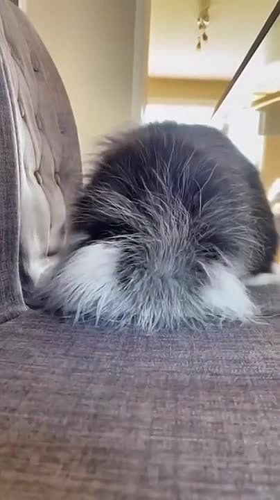 ���������� � ��� ������, �� ���� ���������