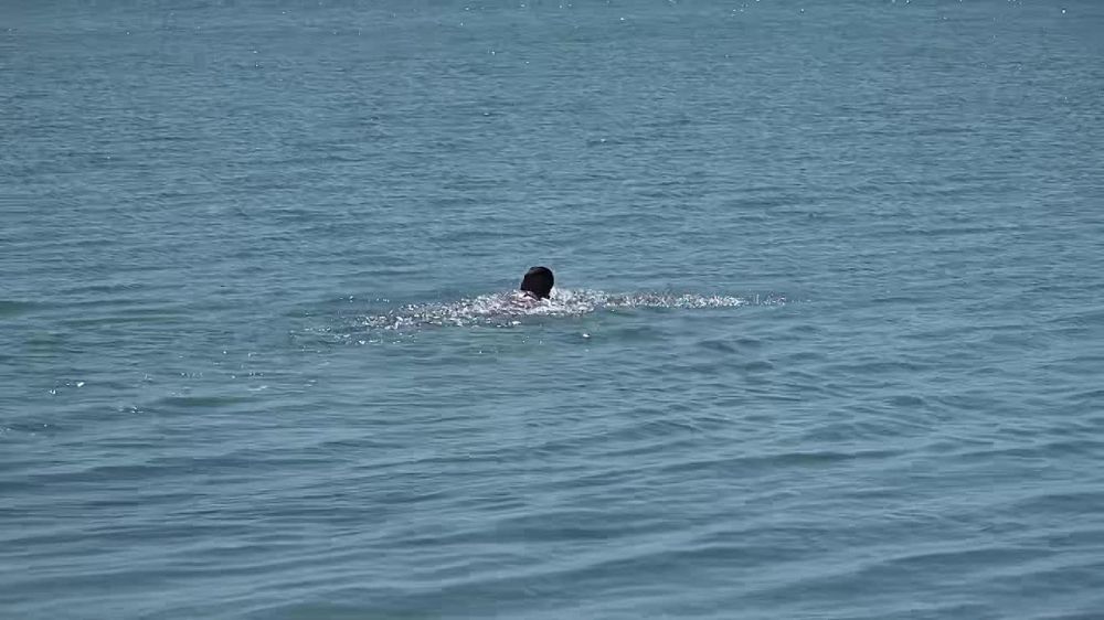 � ���������� ����� ���������� ������� ��������� ������