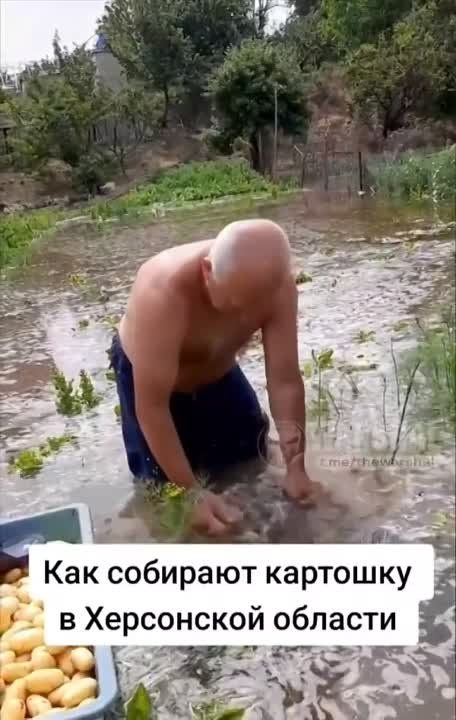 ��� ������ �������� �������� �� ����� ������ ���������� �������