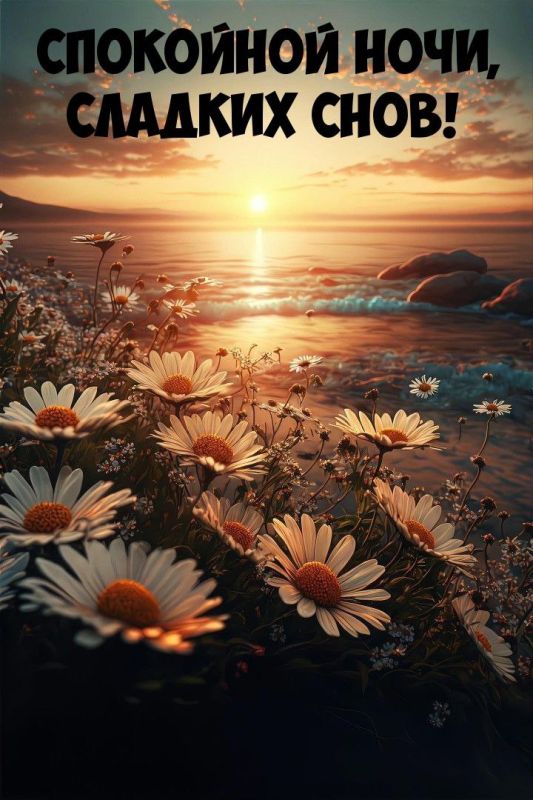 ������ ����. ������ � ������� ���� ���� ����� ��������� ����� ������. ��� �������. ����������� �� +17 ����� �� +30 ����