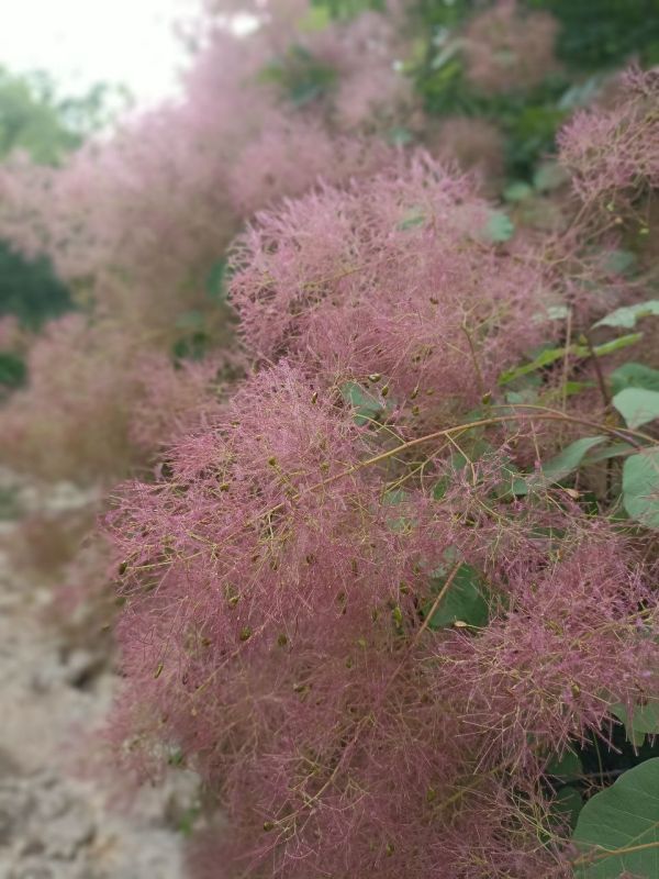 � ������ �����, �����������!