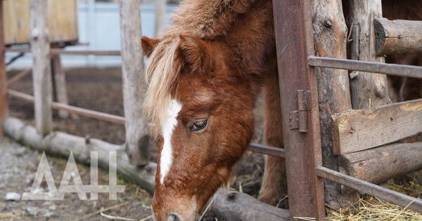 ��� ������ ���������� � ���������� �������� ��������� ��� ���������