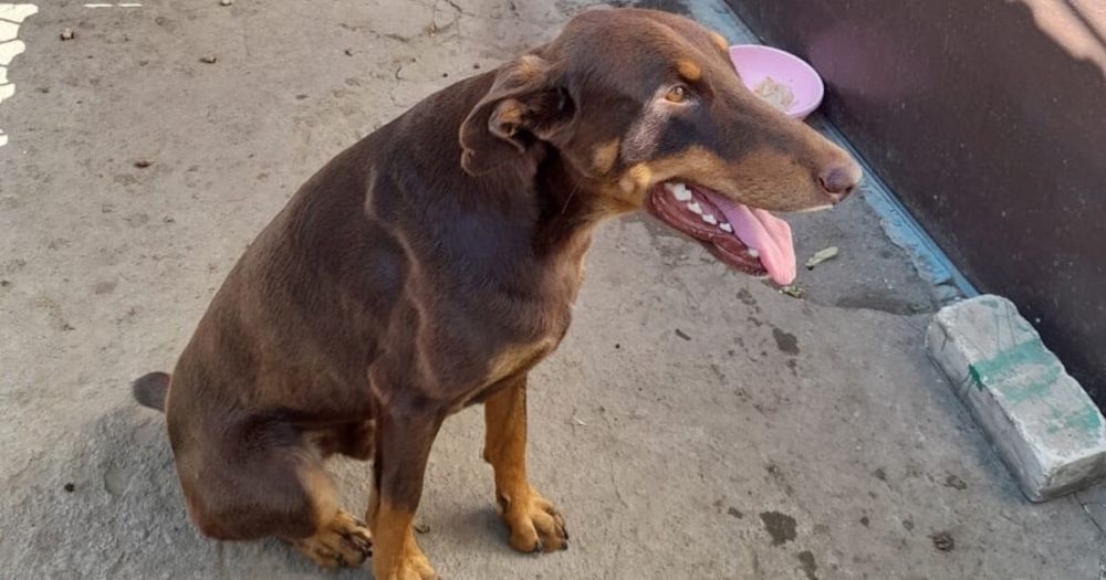 ������ ����� ���������� ������ � ����� �����