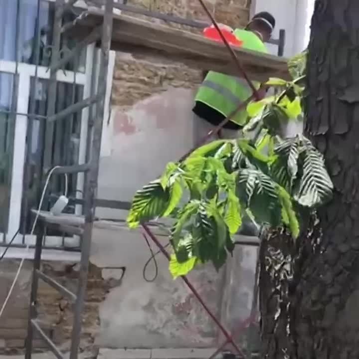 ���������� �������. ���������� ������ ����������� ������������� ����� � ��������� ������������ ������� ������ ������ ��...