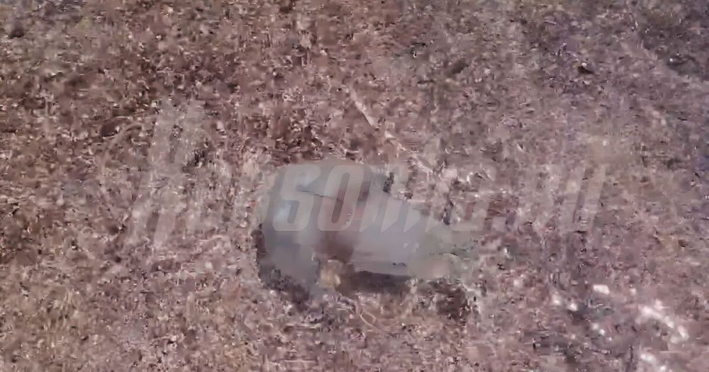 �� �������� ��������� ���������� ���������� ��� ���� �����