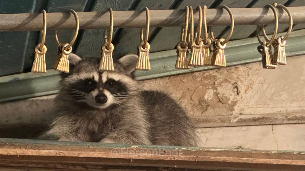 ���� �� �������: � ������ ����� ������, � �������� ��� ����������