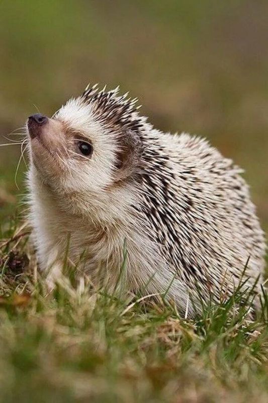 ����������, � ������ �����!