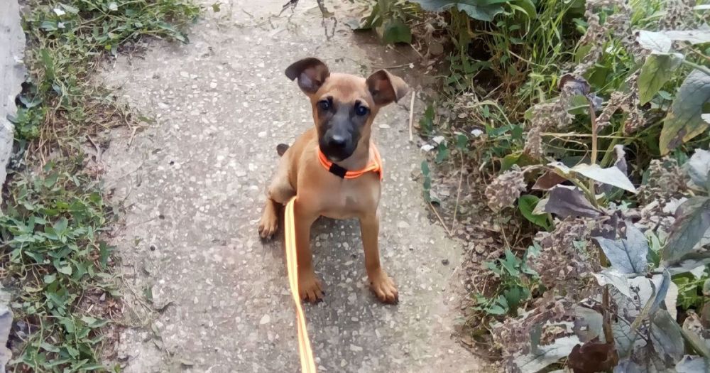 �������� �� ����� �������� �������� ���������� �� ����� �������