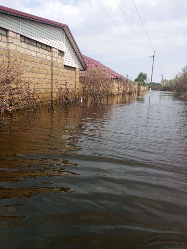 ������! ���� � ��� ��� ����� � ��������, �� ���� ������ ����������: � ����� ��������, ����, ������� ������ ���, �� ��������