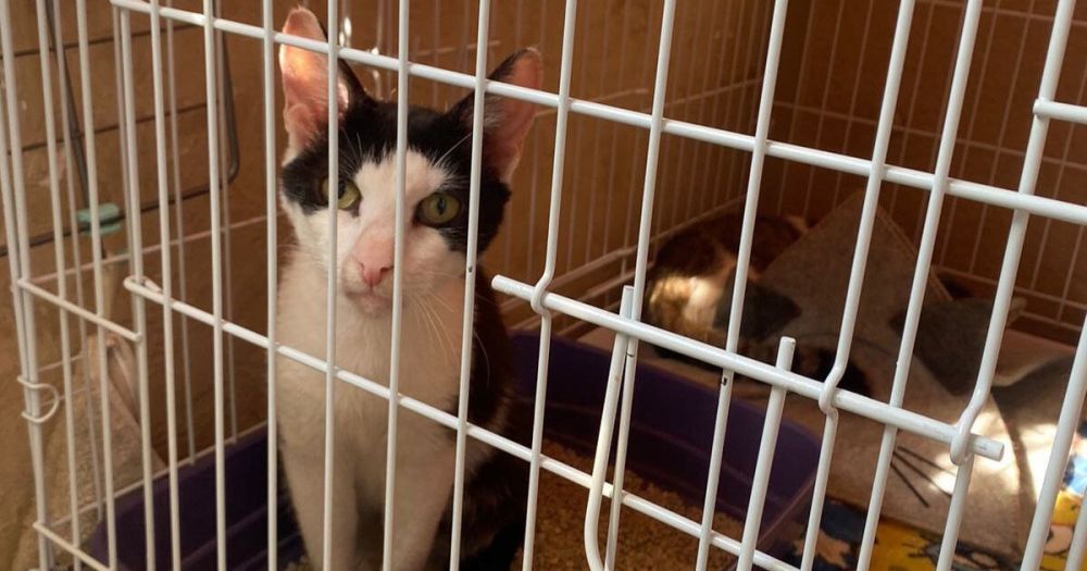 ������ �� �������������� ������ ��� ������, ��� ����� ���