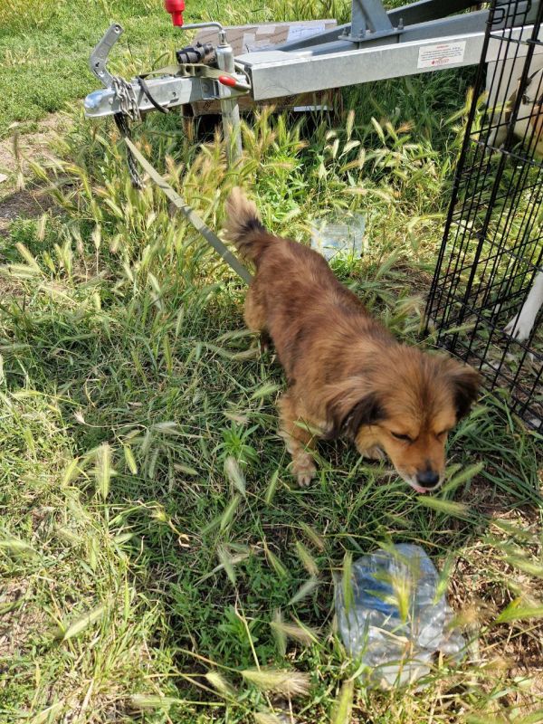 �������� ����� �����!. 1. ���������� ��������� ������, ��������� � ������. ����� ��������, �� 200 ����� ����� �������� 2....