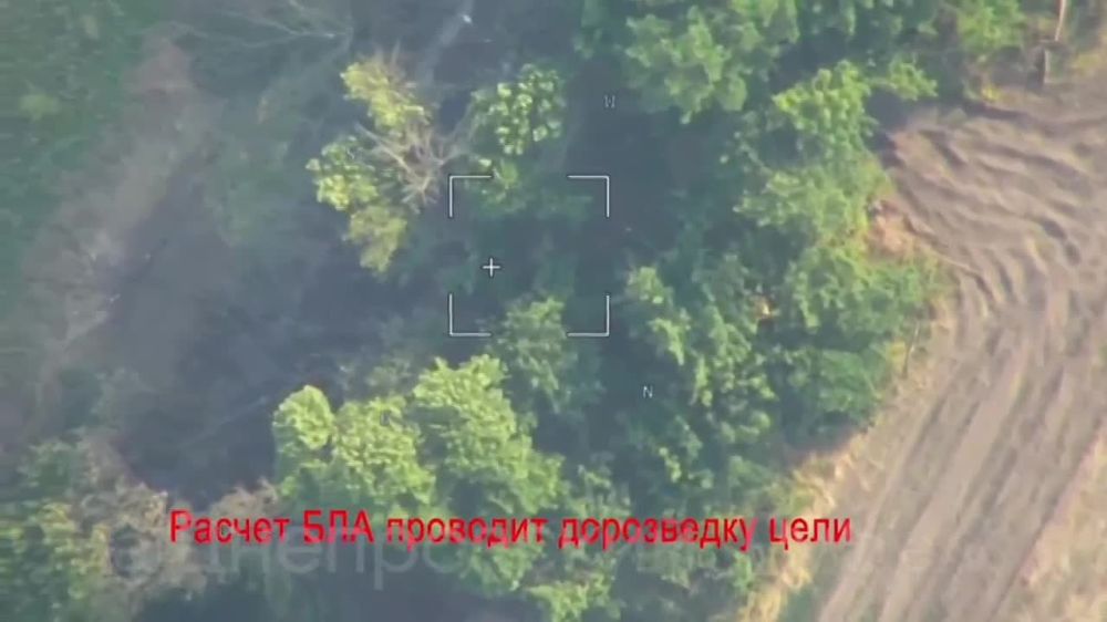 ���� ����� ���������� ���������� ������� ����, ������������ �����