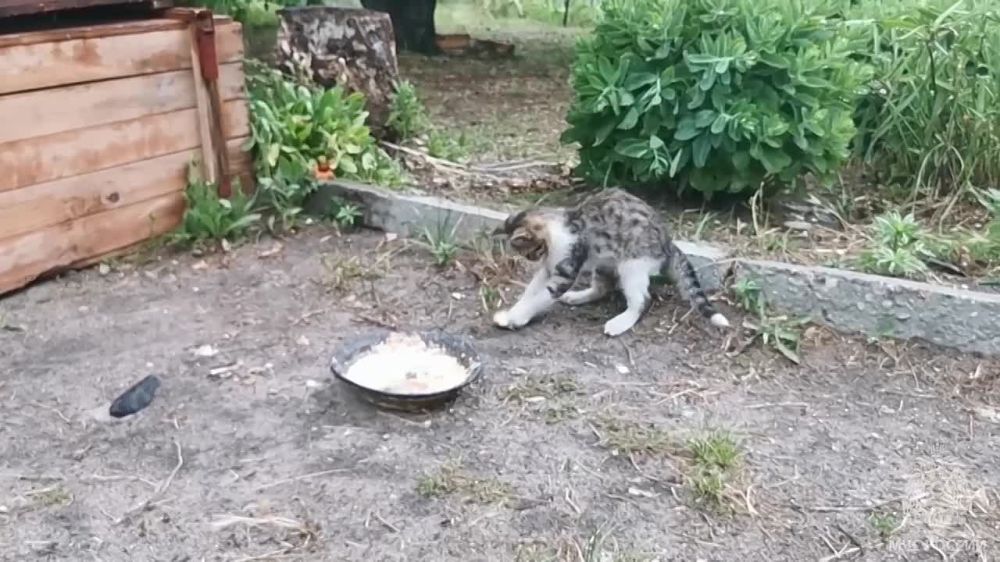 � ���������� ����� #�������� - ����������