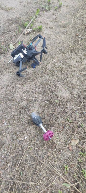 �� ����� ������ ���������� ����� �������� ���������� ����