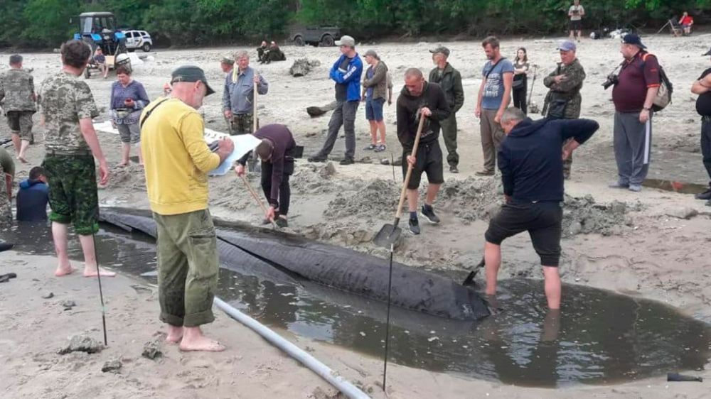 ��������� ����� ����� �� ��� ����������� ������