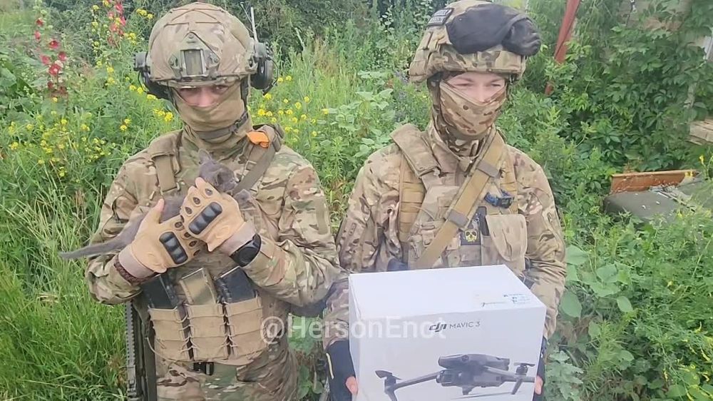 ���� �� �������: ��� ���� ������ ������ �� ����� �����