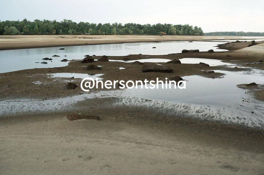 � ���� �������� �������� ��������� ������