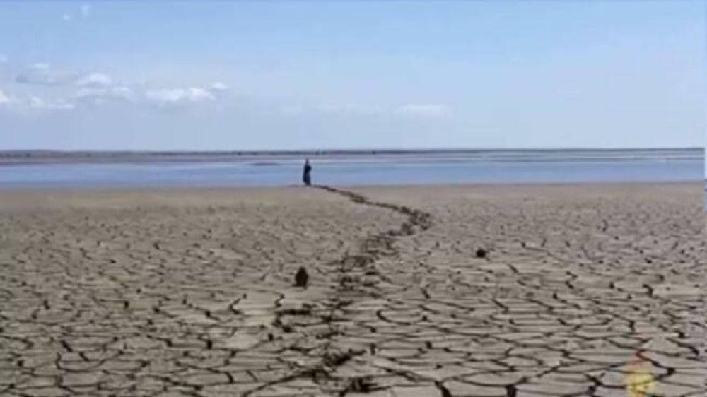 �������� ���������� �������������. ��� ���������� ������ �������� ������� �������������