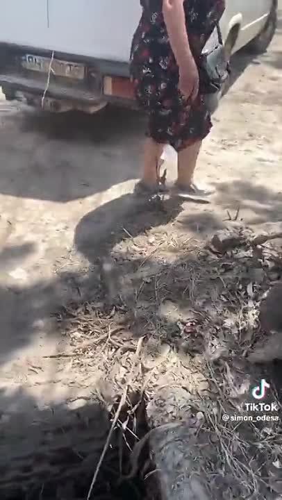 �� ������� �� �����, � ������ ������ ������: ���������� ������� �������� �� ������ ��������