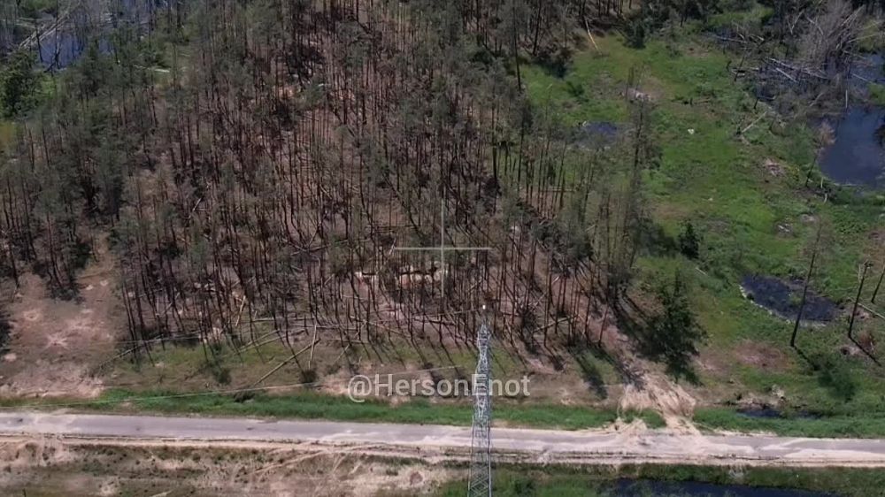 ���� �� �������: ��������� ������� FPV- ������ �������� ���������� � ���������� ����