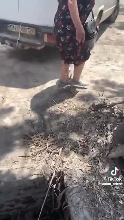 �� ������� �� �����, � ������ ������ ������: ���������� ������� �������� �� ������ ��������