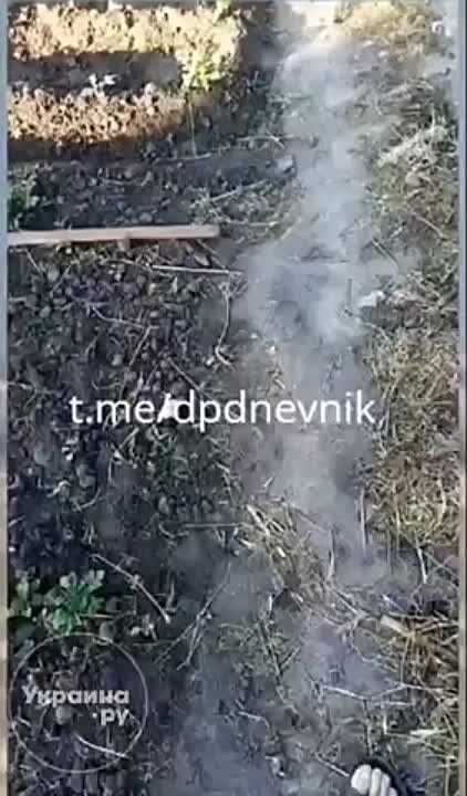 ����, ������� ������� ���������� �������������, ��������� �������� � ����� ����������� ��� �����