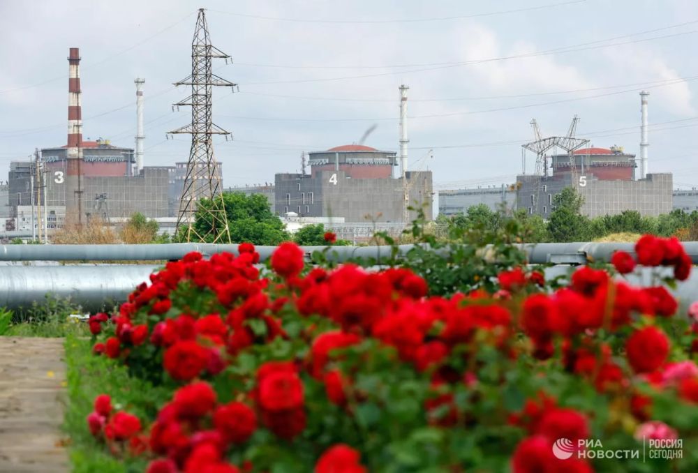 ������ �� ����� ����������� ������