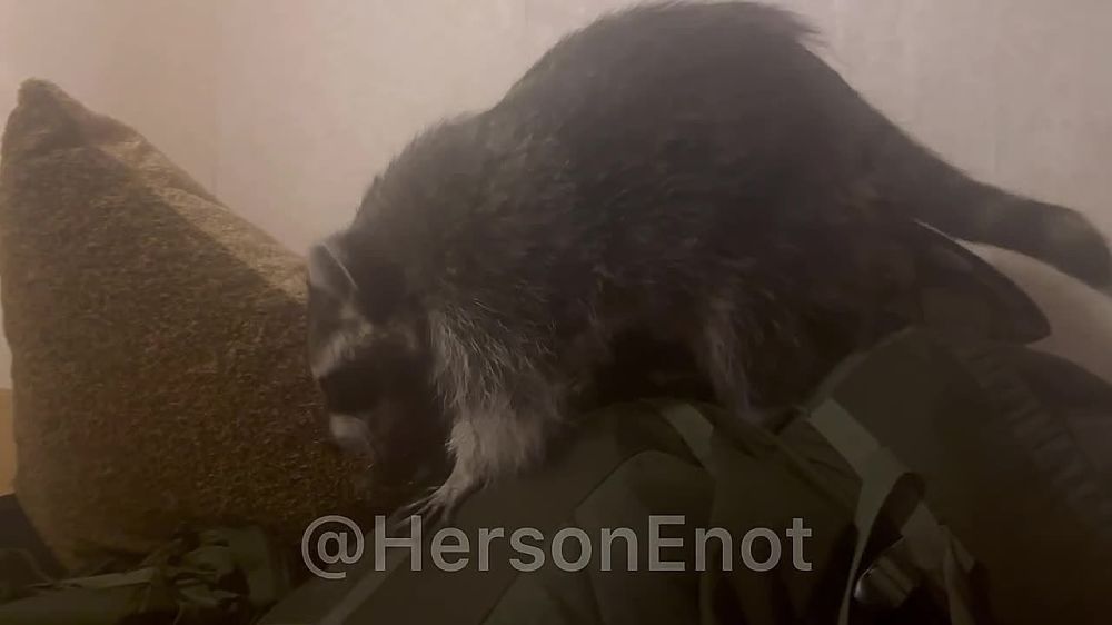 ���� �� �������: ���� �����, � � ������� �� ��������